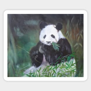 Panda in Bamboo Sticker